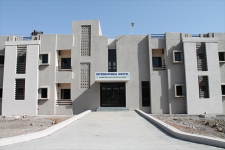 InternationalHostel