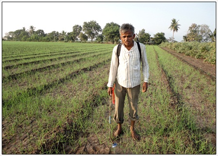 seed village field at Prabhatpur 05