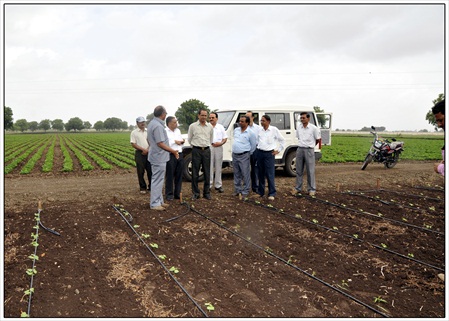 2012july13 rajkot kvk training & field visit (8)